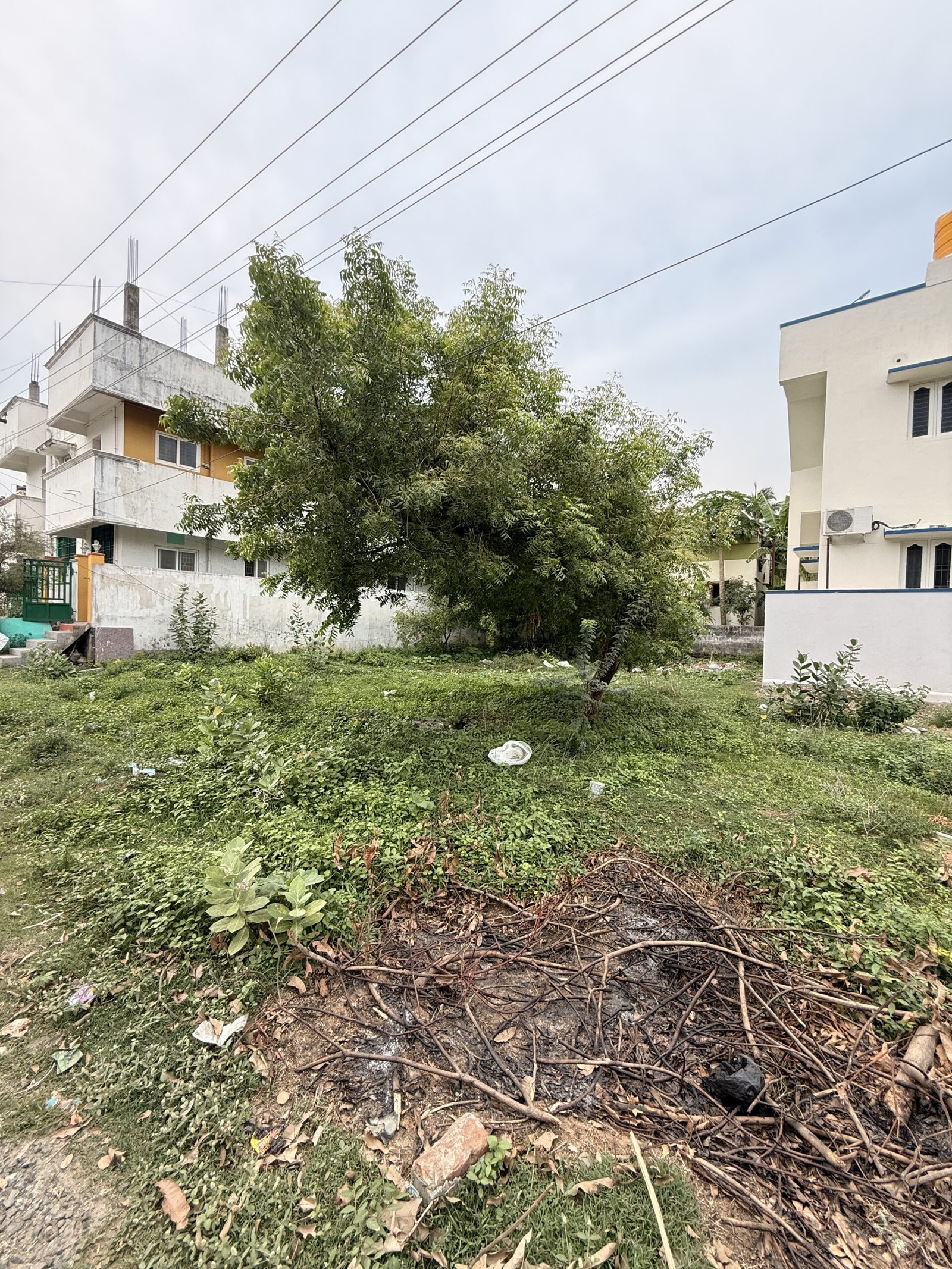 Brindavan Avenue