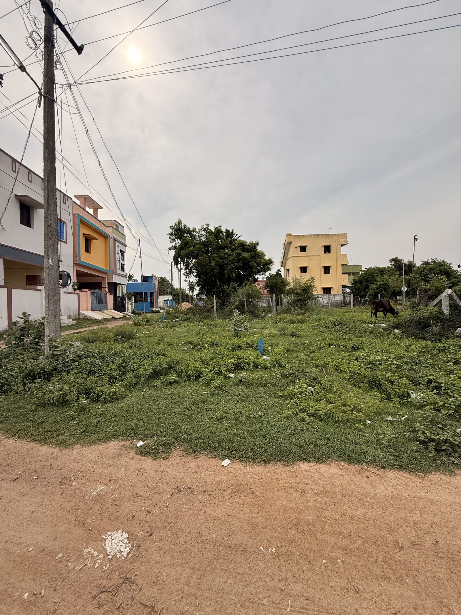 Brindavan Avenue