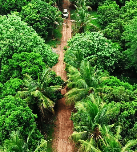 Farm land property in Kannivakkam, Guduvanchery